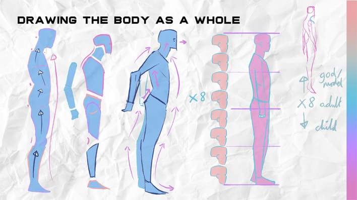 drawing fundamentals - drawing tips for the human body from a side view